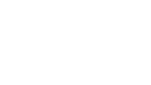 Logo Agencji Marketingowej Wolf Agency